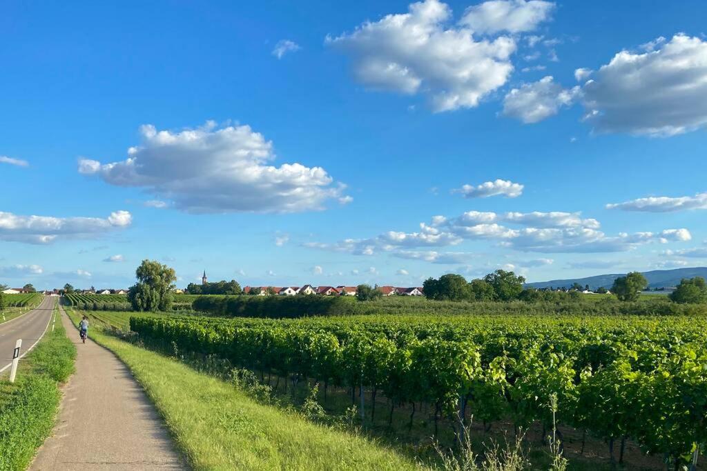 Ruhe Und Entspannung Erpolzheim Exterior photo